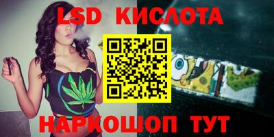 apvp Свободный