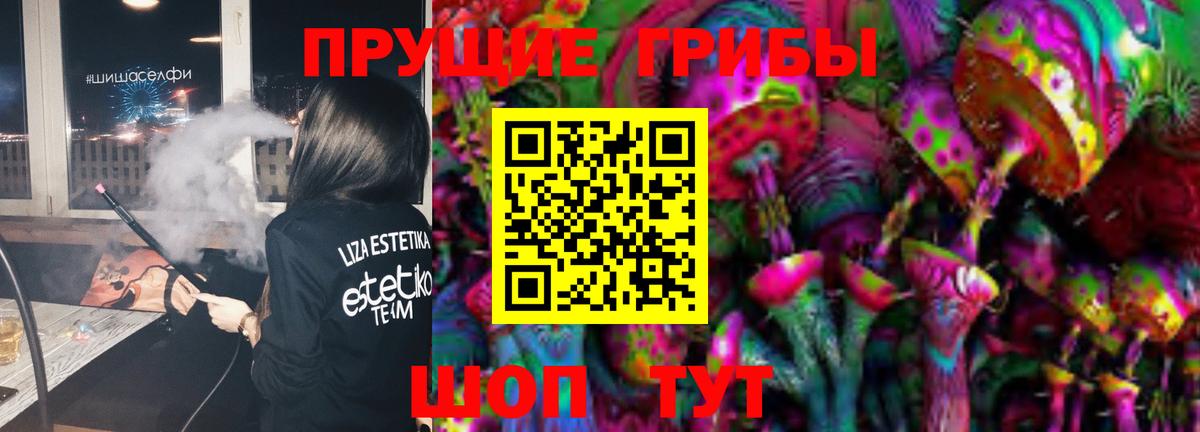 Новодвинск  Псилоцибиновые грибы GOLDEN TEACHER  Вход с VPN 