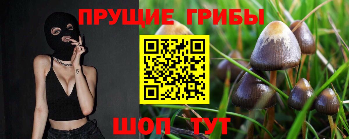 Галлюциногенные грибы мухоморы Новодвинск